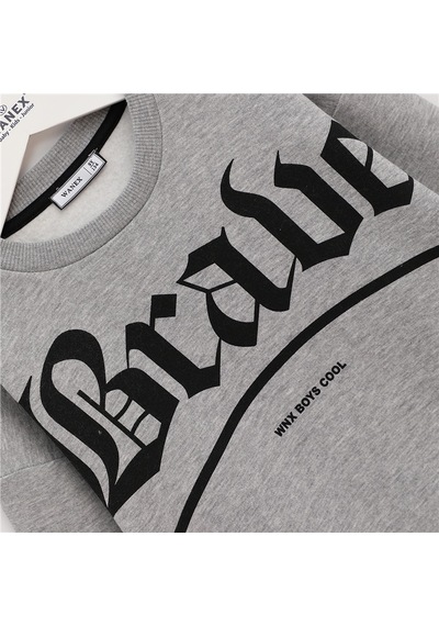 Wanex Erkek Çocuk Uzun Kol Kalın Sweatshirt - 16044 Gri Melanj