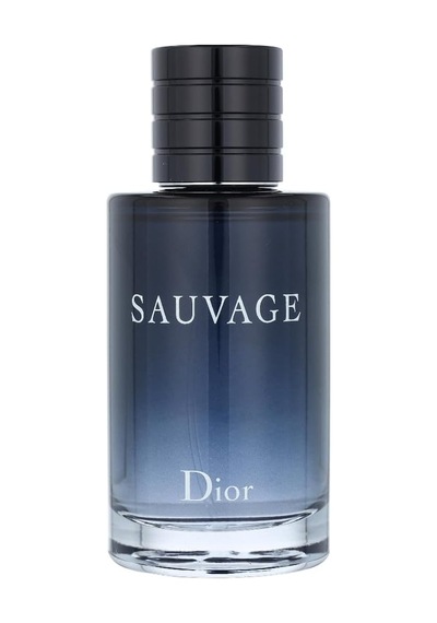 Sauvage Edt 100 Ml Erkek Parfüm Diğer