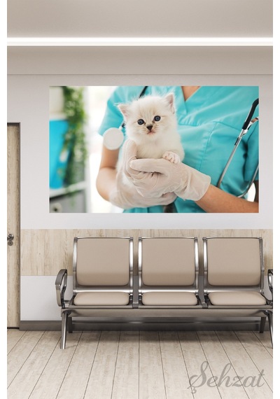 Kanvas Duvar Tablosu Yatay Tekli Veteriner Kliniği Hayvan Hastanesi Yavru Kedi Muayene Aşı Bakım Çok Renkli