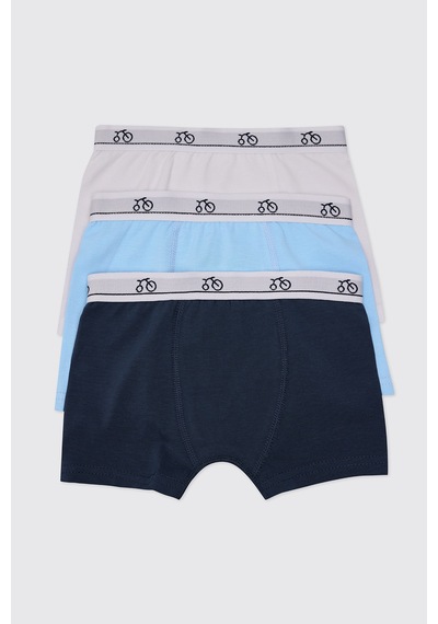 Panço Erkek Çocuk 3'lü Multi Boxer Seti 2602bk14002 Renkli