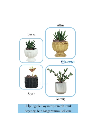 Mini Çiçek Saksı Küçük Sukulent Siyah Kaktüs Saksısı 3'lü Set Baklava Çizgili Model