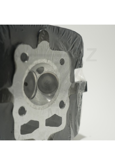 Cg 150 Üst Kapak Siyah Çita 001