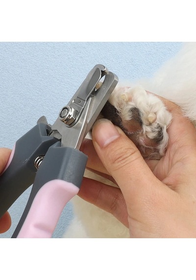 Pet Tırnak Makası Köpek Kedi Tırnak Makası Paslanmaz Çelik Köpek