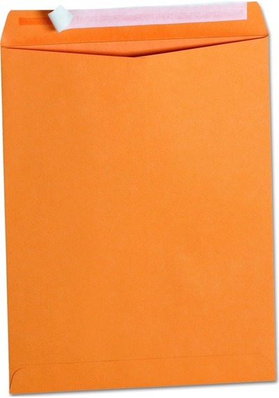Pull & Seal Katalog Zarf, 10 X 13, Güç, 100/box, Sold As 1 Box