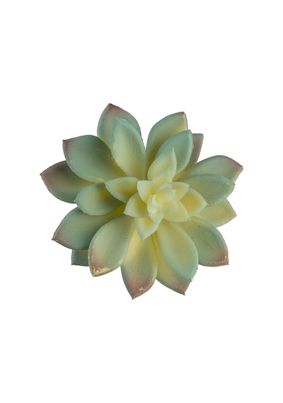 Yapay Mini Etli Echeveria Sukulent Açık Yeşil 12 Cm-10916