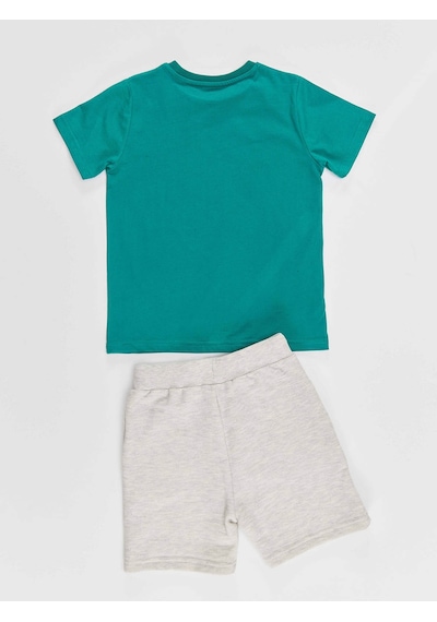 Denokids Kravat Koala Erkek Çocuk T-shirt Şort Takım Çok Renkli