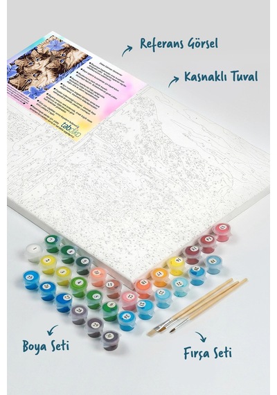 Sayılarla Boyama Seti 40 x 50 CM Tuval Şasesine Gerili Boncuk Kediler