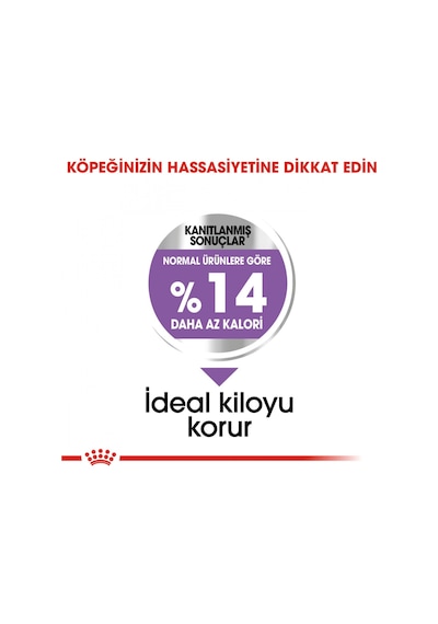 Royal Canin Mini Sterilised Küçük Irk Kısırlaştırılmış Yetişkin Köpek Maması 3 KG