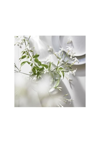Ikea Lugnare Cam İçinde Kokulu Mum, Yasemin/pembe , Çap: 7,5 Cm Çok Renkli