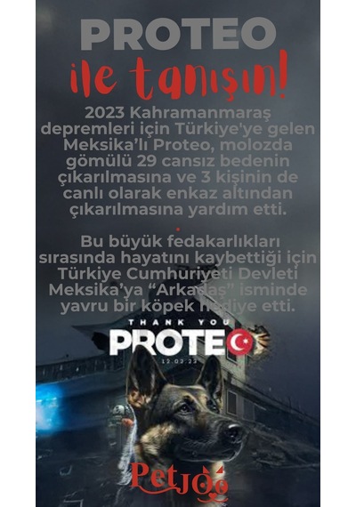 Petjoo 24.Proteo Kırmızı-Gri Qr'lı Köpek Künyesi