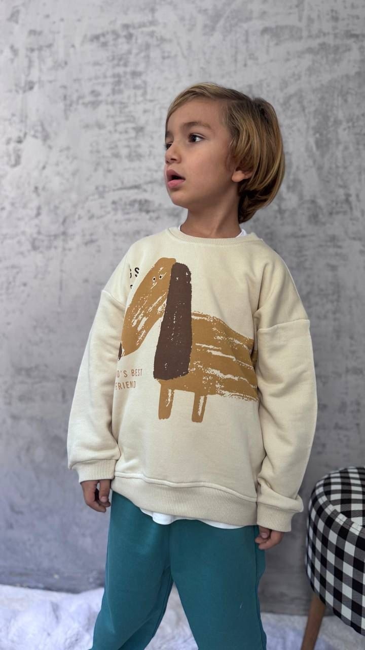 Cg Kids Dog Temalı Mükemmel Baskı Renk Kalitesi Erkek Çocuk 3 İplik Alt Üst Takım Mint Yeşili Cg Kids Dog Temalı Mükemmel Baskı Renk Kalitesi Erkek Çocuk 3 İplik Alt Üst Takım Mint Yeşili