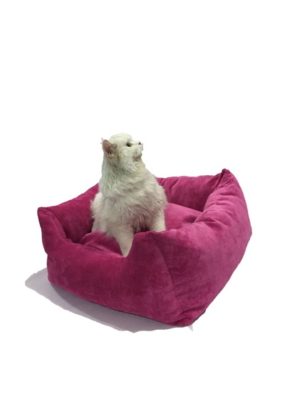 Zishhome Rosa Büyük Pet Kedi & Köpek Yatağı 60 x 60 x 60 CM
