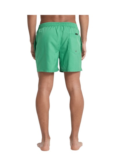 Quıksılver Quiksilver Deluxe 15 Erkek Yeşil Volley Short Gnz0