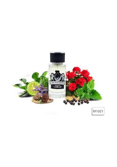 Lion Francesco Scent Of Vahran Erkek Parfüm EDP 50 ML