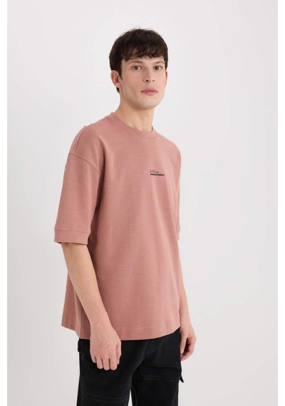 DeFacto Loose Fit Bisiklet Yaka Baskılı Ağır Kumaş Tişört D8462AX25SPBR165 DeFacto Loose Fit Bisiklet Yaka Baskılı Ağır Kumaş Tişört D8462AX25SPBR165