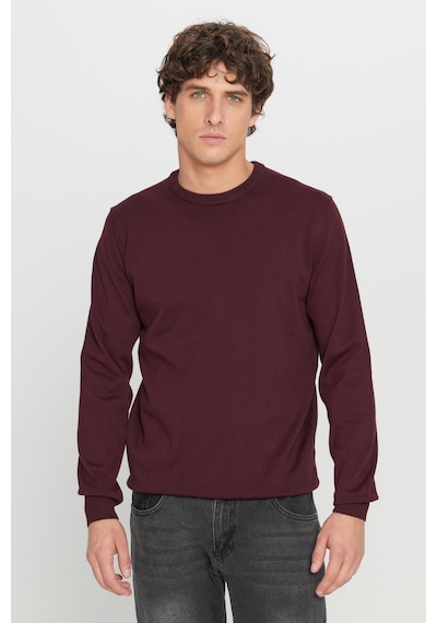 AC&Co / Altınyıldız Classics Erkek Bordo Pamuklu Standart Fit Normal Kesim Bisiklet Yaka Triko Kazak Bordo
