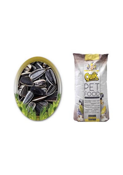 Quik Çizgili Küçük Açik Sultan-Cennet Papağanı Çekirdeği 1 KG