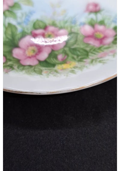 Petula Bone China England Antika Porselen Kahve Fincan Tabağı 12 Cm Pembe - Yeşil