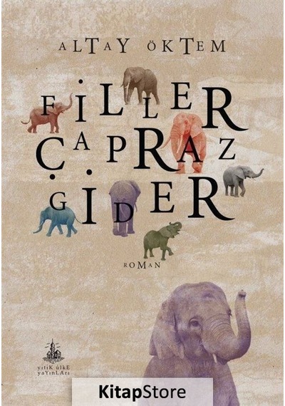 Kitapstore Filler Çapraz Gider / Altay Öktem