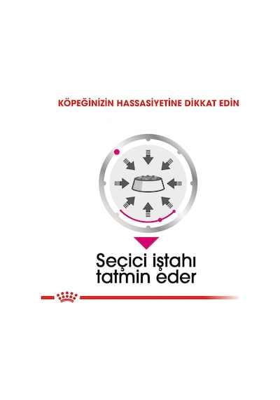 Royal Canin Exigent Yetişkin Köpek Maması 12 x 85 G