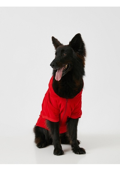 Koton Love Dog Kapüşonlu Sweatshirt Kırmızı 2wal10188ık Kırmızı