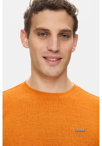 Taylor Kiremit Bisiklet Yaka Krinkıl Hafif Kumaş Metal Logolu Standard Fit Erkek Tshirt Kiremit