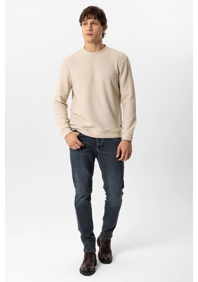 Backandbond Bej Regular Fit Desenli Bisiklet Yaka Sweatshirt