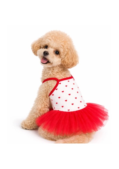 Love - Kırmızı Tütü Kedi Köpek Elbise