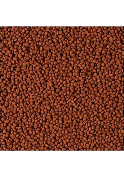 Tropical Cichlid Carnivore Small Pellet 1000 Gram Küçük Granül Ba