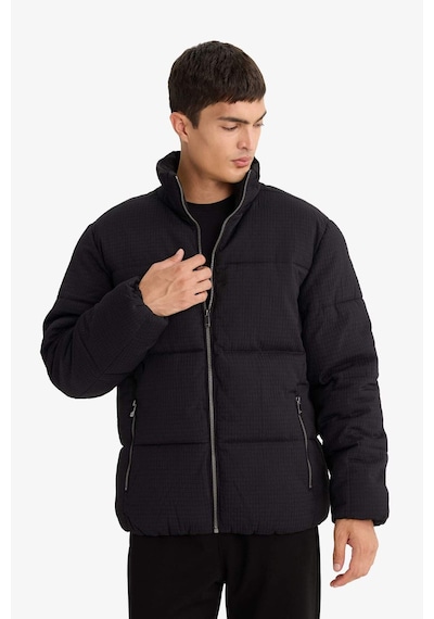 Defacto Regular Fit Dik Yaka Astarlı Fermuarlı Cepli Kışlık Mont F0418ax25wnbk27 Siyah-bk27