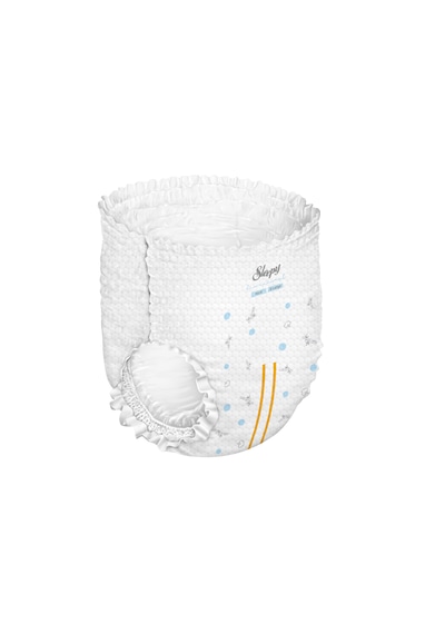 Sleepy Bio Natural Premium Plus Airbag Comfort Mega Paket Külot Bez 6 Numara Xlarge 96 Adet