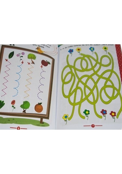 Limon Kids ZBG - Zihinsel Becerilerimi Geliştiriyorum Seti 5 - 6 Yaş - 4 Kitap Takım - Soner Öztürk - Coral Dağıtım