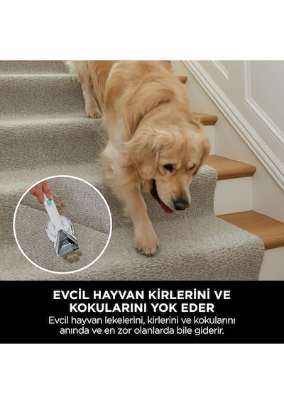 Shark Stainstriker PX200EUT Pet Başlıklı Koltuk ve Halı Yıkama Makinesi