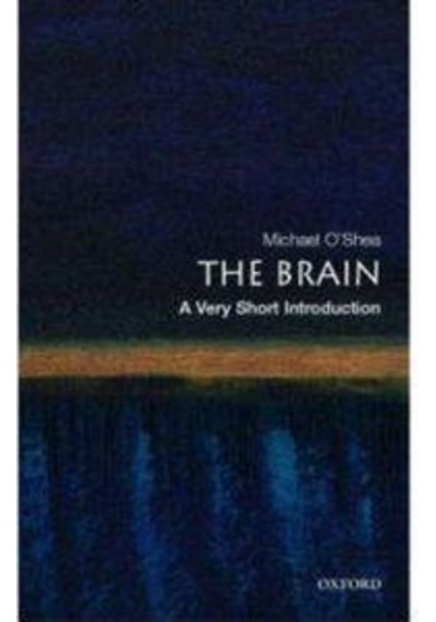 The Brain A Very Short Introduction