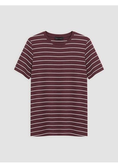 Lcw Everyday Bordo Bisiklet Yaka Çizgili Kadın Tişört
