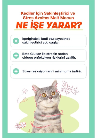 Biofeline Rahatlatıcı Macun 100g Ve Kediler İçin Günlük Gerginlike Karşı Rahatlık Sağlayan Sakinleştirici Mac