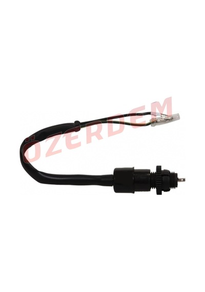 Svnmotor Cg Model Arka Fren Müşürü (500192473)