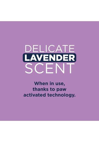 Lavender Lavanta Kokulu Kedi Kumu 10 Lt