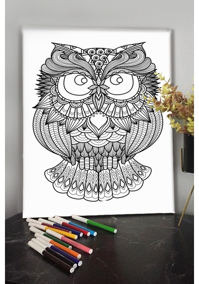 Baykuş Temalı Boyanabilir Tuval Mandala Tuval Kalem Hediyesi Yoktur.