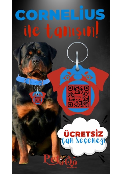 Petjoo 20.Cornelius Kırmızı-Mavi Qr'lı Köpek Künyesi