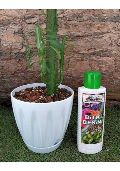 Bitki Besini 3'lü Set Genel Bitki Besini Çiçek Açtıran Yeşil Yapraklı Bitki Vitamini Gübre 1 kg