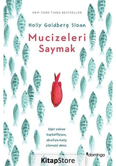 Mucizeleri Saymak / Holly Goldberg Sloan