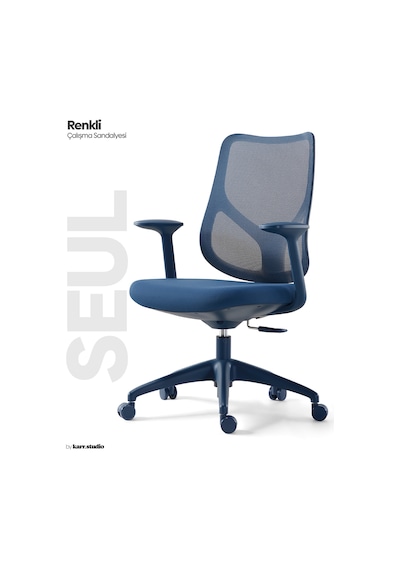 Seul Ergonomik Çalışma Sandalyesi - Mavi