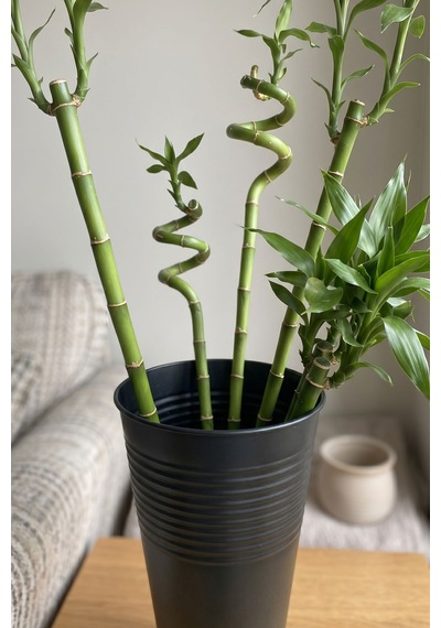 Uzun Metal Saksı & Vazo - 40 Cm Ofis Ve Ev İçin Modern Çok Amaçlı Saksılık 21x11/40 Cm Siyah