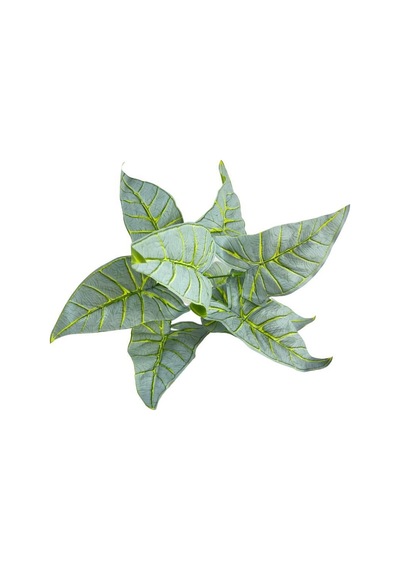 Yapay Çiçek Fil Kulağı Açık Yeşil Islak Doku Salon Bitkisi 35Cm 9