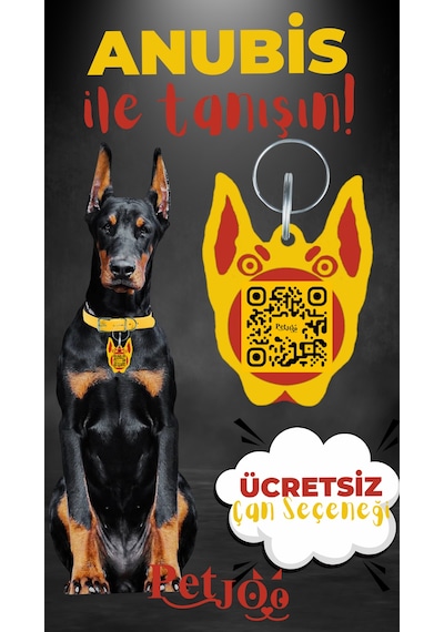 Petjoo 30.Anubis Kırmızı-Sarı Qr'lı Köpek Künyesi