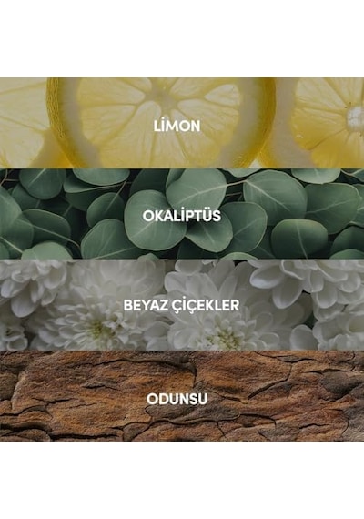 101 Dalmaçyalı Edp Erkek Parfüm 100 Ml Ferah - Deniz - Narenciye Aromatik, Limon, Gül Acı Kahverengi