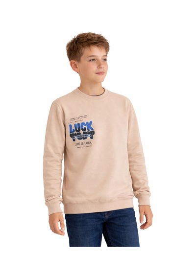 Baglan Erkek Çocuk Önü Arkası Baskılı Sweatshirt Bgl-st05237 Taş