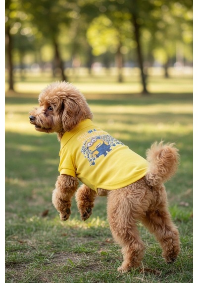 Miniş One-in-a-minion Küçük Irk Köpek Pike Kumaş Polo T-shirt-21586