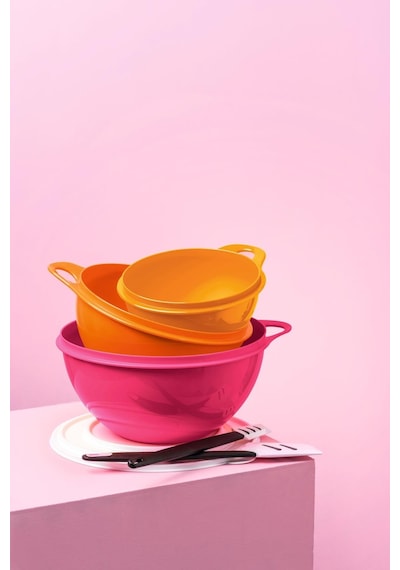 Tupperware Mikser Kabım 3 L Kadife Çiçeği